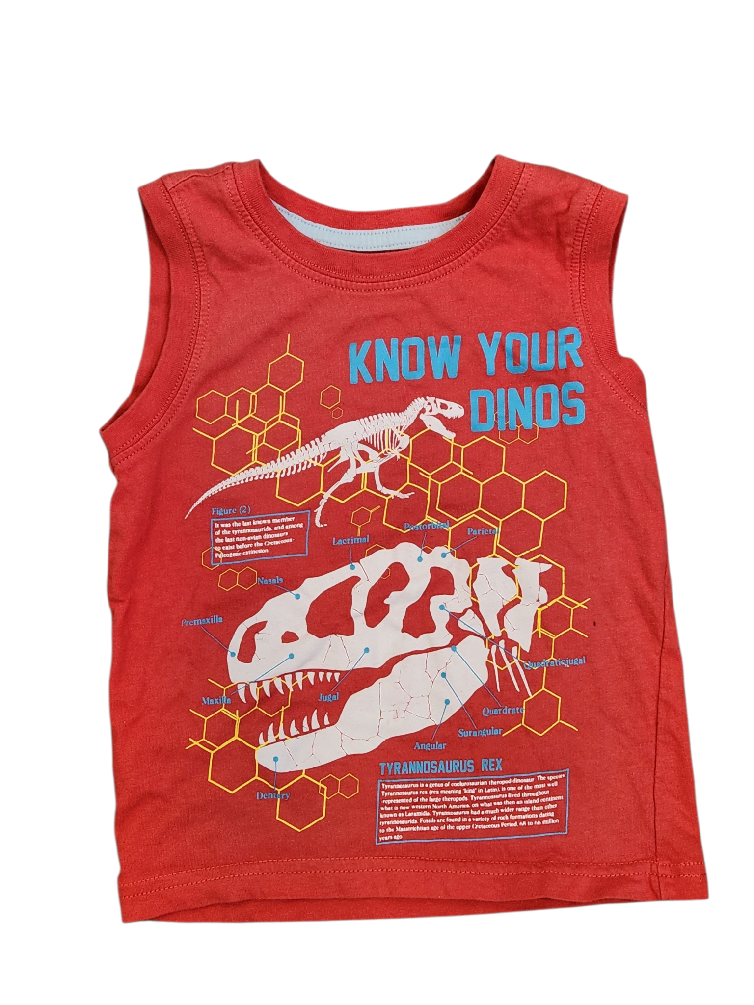 Camisole Monkey Bar 2-3T